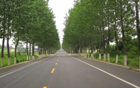 江苏开放大学道路工程施工BBS2：请参观你身边的道路工程项目、了解道路的等级、并结合所学知识给出建设标准