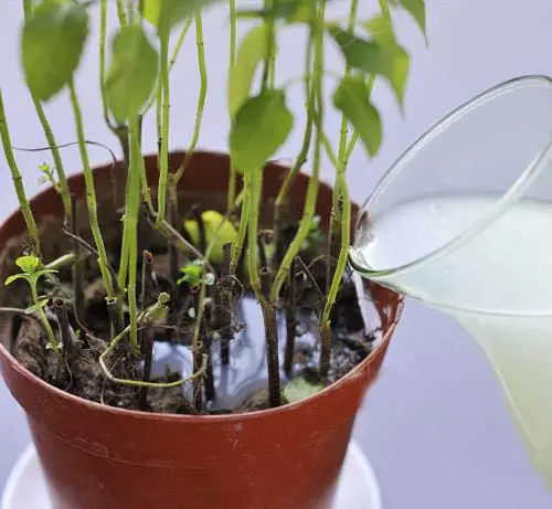 江苏开放大学循环经济与低碳生活实践作业参考范文23年秋