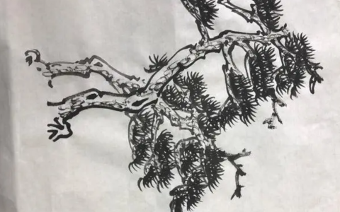 2024年春江苏开放大学山水画第四次形考作业松树的组合画法临摹