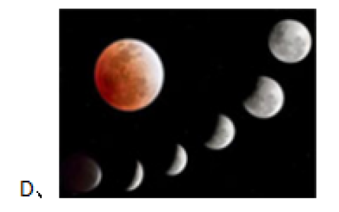 2025年春江苏开放大学环境法规与标准形考作业一答案