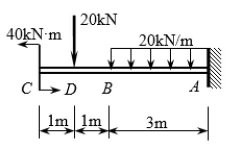 江苏开放大学风景园林植物学综合大作业公园植物种类调研分析报告