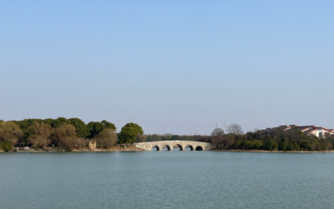 2025年春江苏开放大学环境生态学实践作业调研报告范文