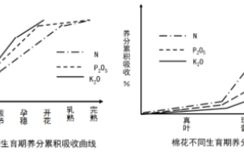 2025年秋江苏开放大学植物营养学平时作业3答案