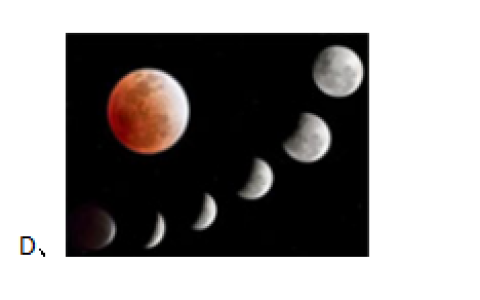 2026年春江苏开放大学环境法规与标准形考作业一答案