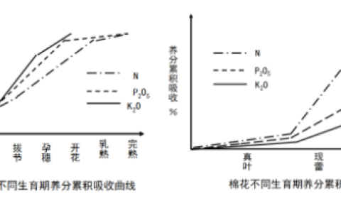 2026年春江苏开放大学植物营养学平时作业3答案