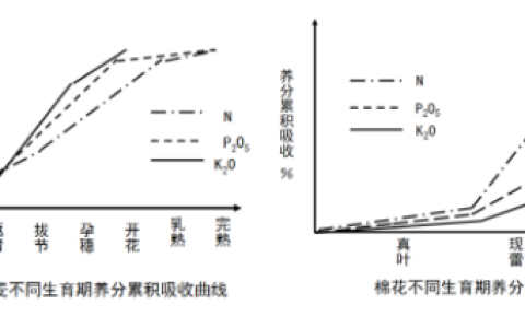 2026年秋江苏开放大学汉语作为第二语言教学法作业1答案